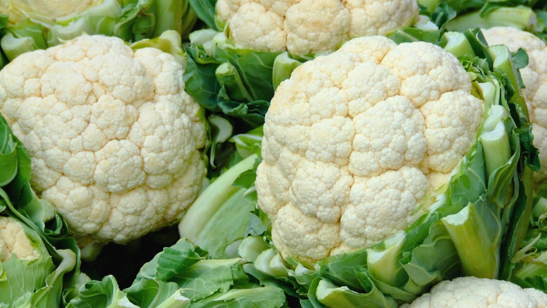 7 Science-Backed Health Benefits of Cauliflower You Need to Know