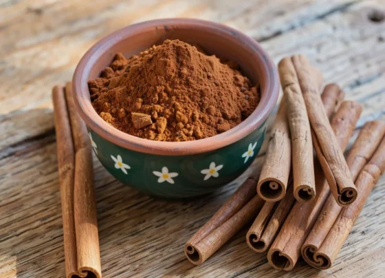 Bowl of cinnamon