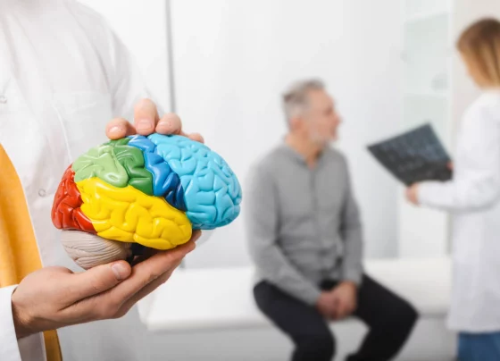 Age realated brain decline