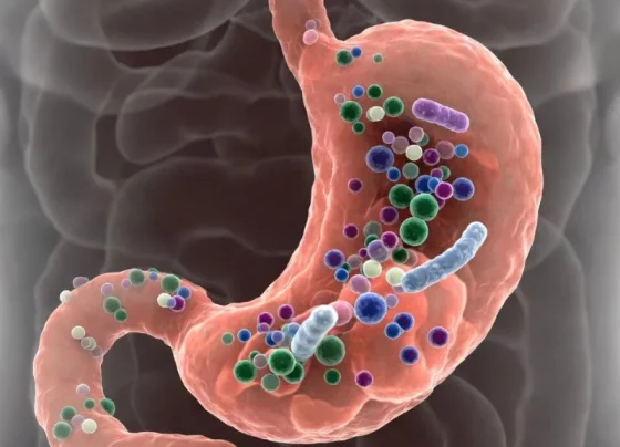 Gut bacteria in the stomach
