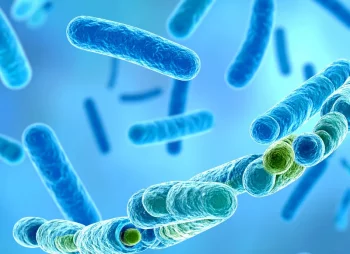 Gut Bacteria