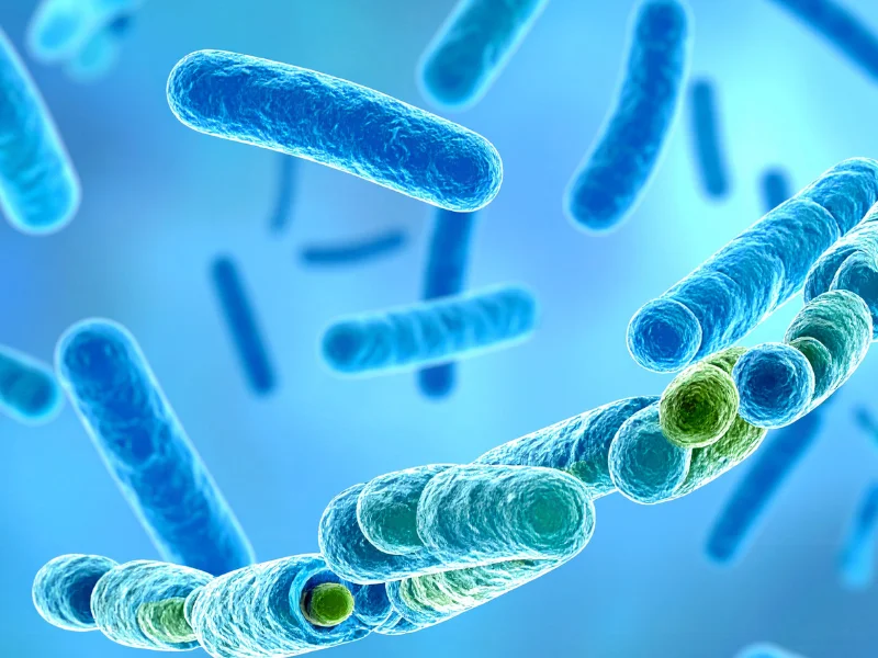 5 Habits That HEAL Your Gut (Science-Backed)